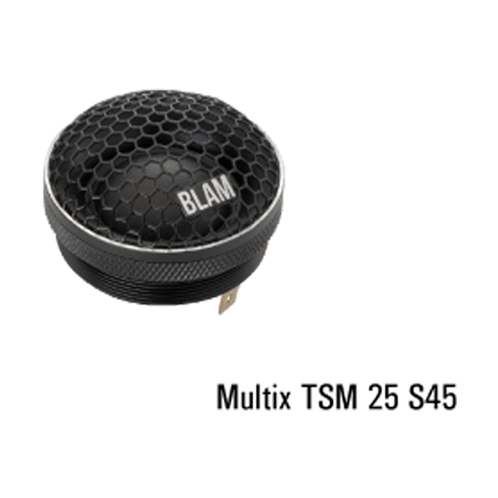 TSM25S45